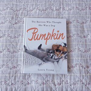 Pumpkin The Raccoon Book